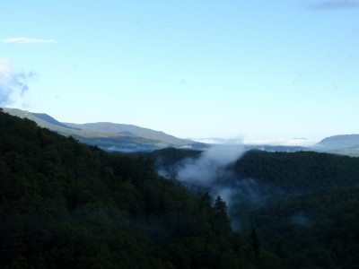 P9106716_1.jpg