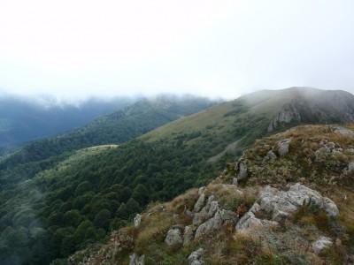 P9116783_1.jpg