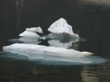 Айсберги Мраморного озера